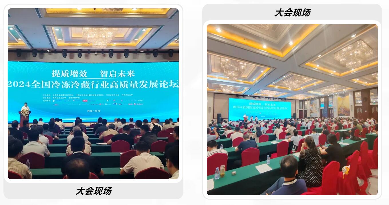 QQjietu20240730104052-41